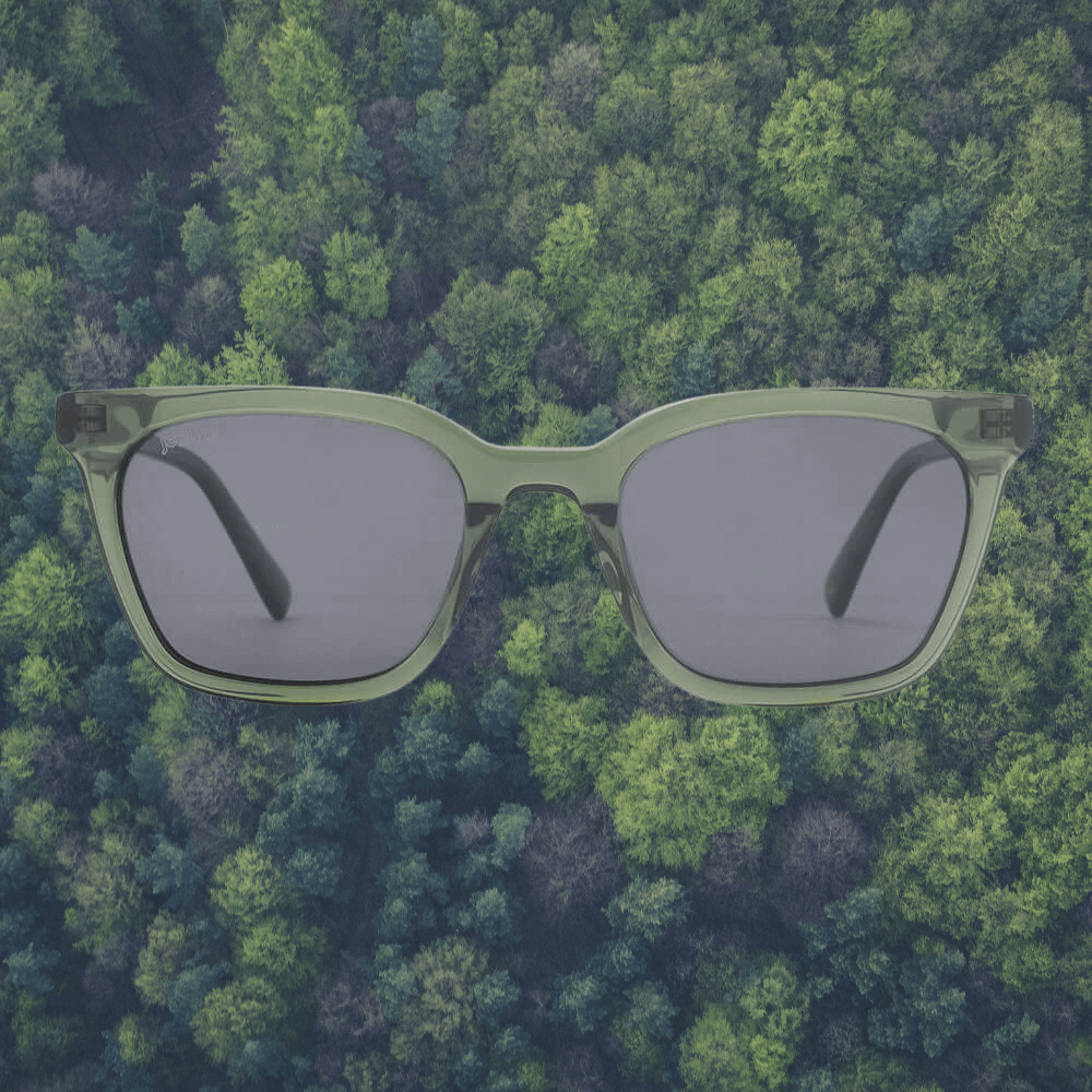 The Joplins Faro, bio acetate sunglasses with mindful earth materials.