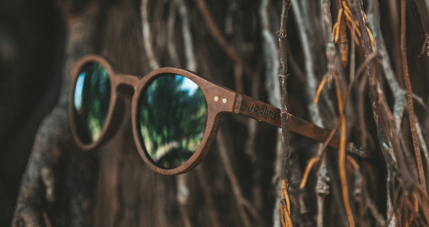 JOPLINS - Wood Sunglasses