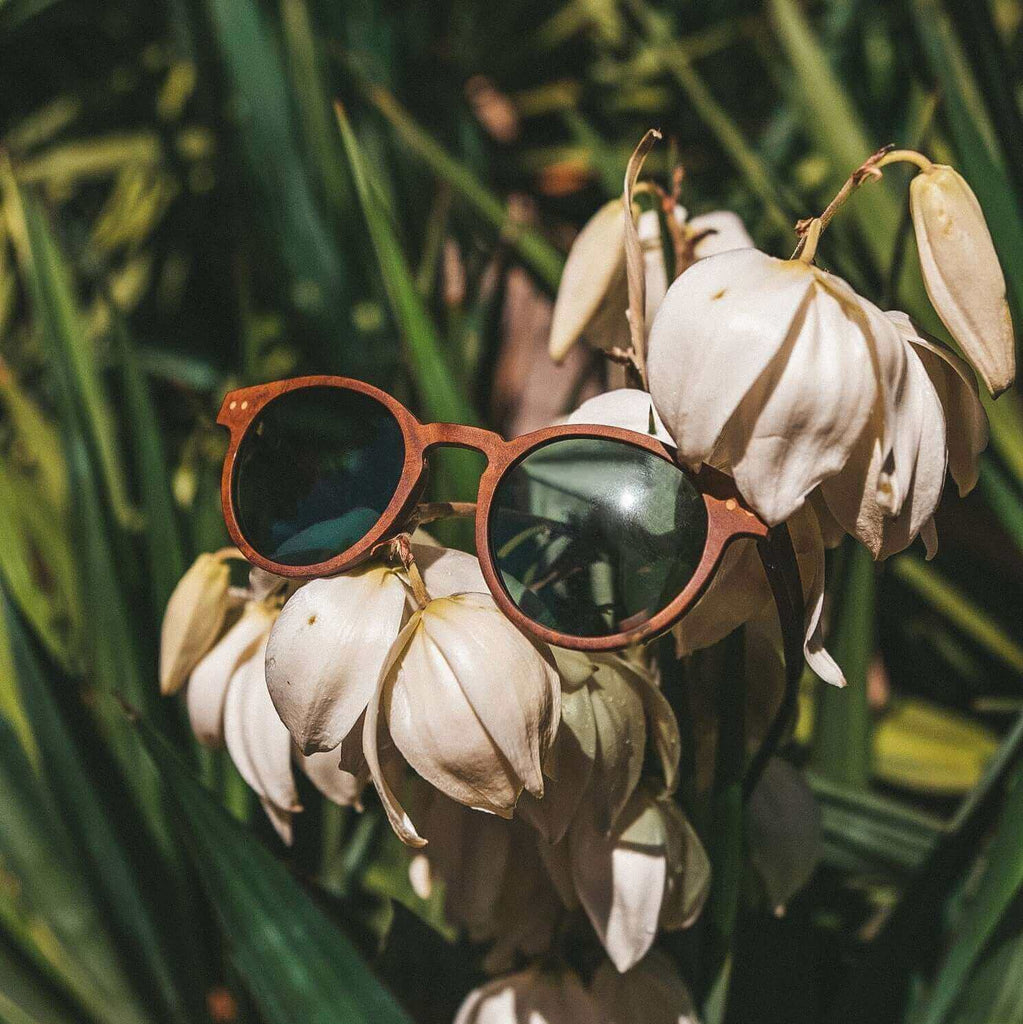 wood sunglasses