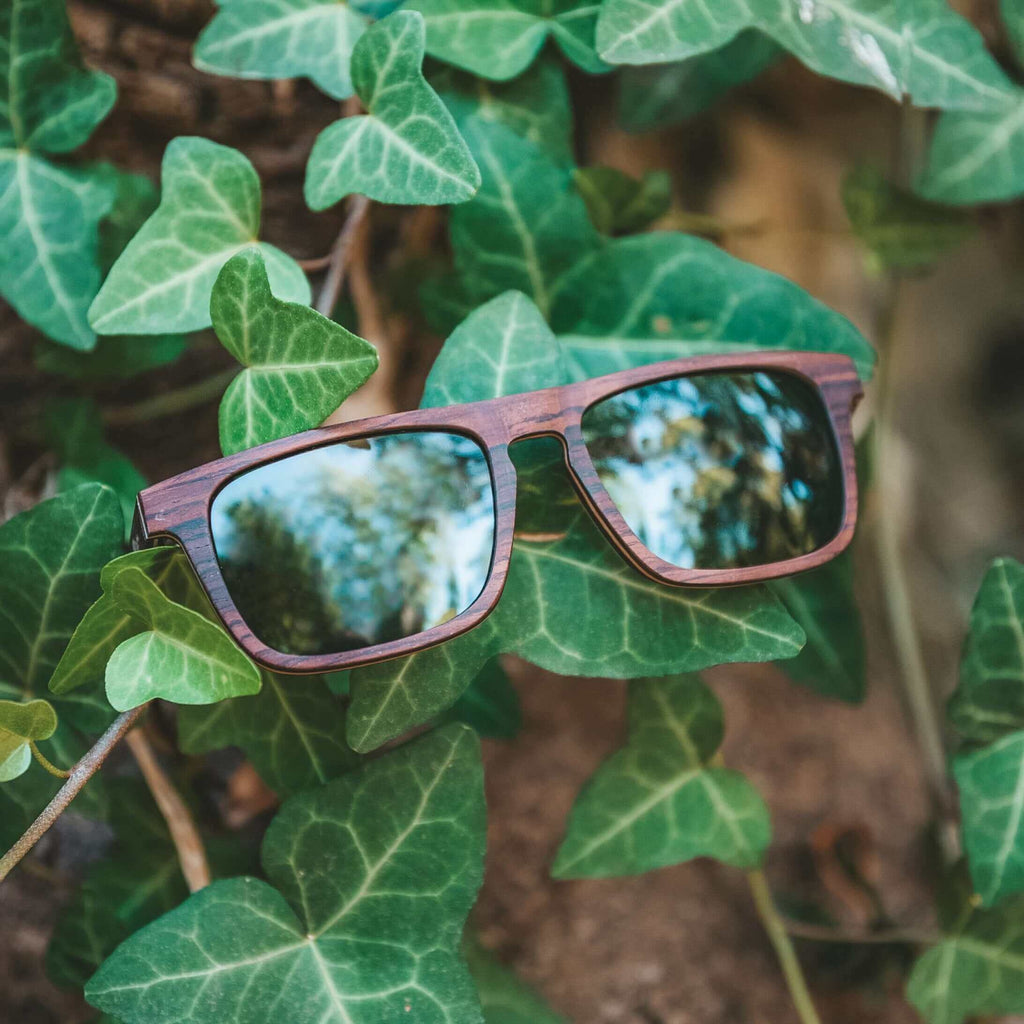 wood sunglasses