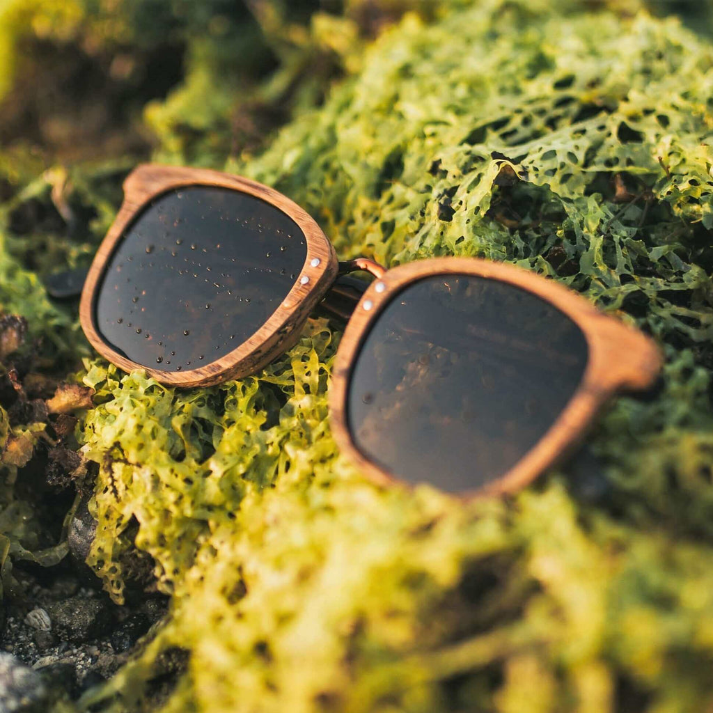 wood sunglasses