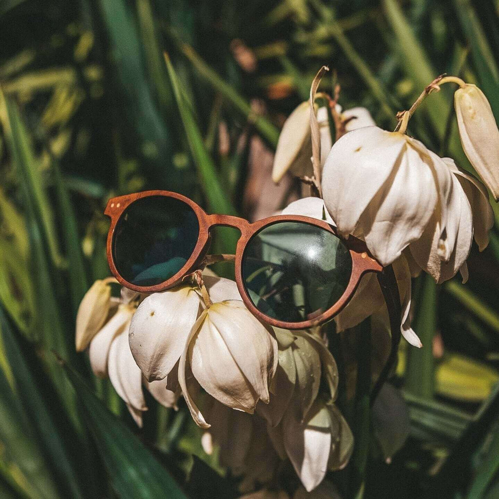 wood sunglasses